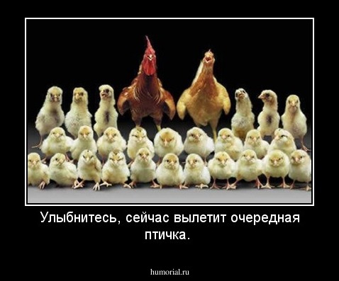 Улыбнитесь, сейчас вылетит очередная птичка. 