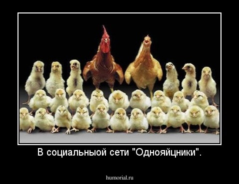 В социальныой сети "Однояйцники".