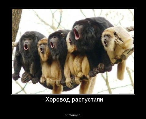 -Хоровод распустили