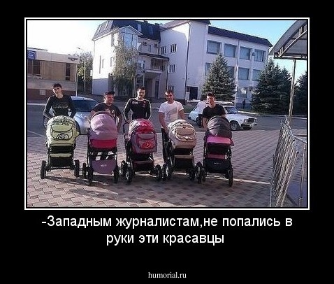 -Западным журналистам,не попались в руки эти красавцы
