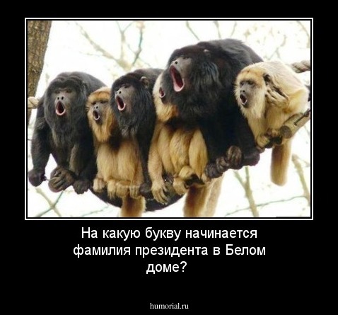 На какую букву начинается фамилия президента в Белом доме?