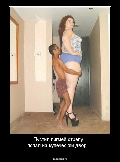 Пустил пигмей стрелу - попал на купеческий двор...