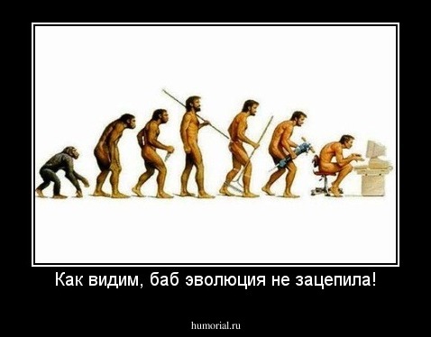 Как видим, баб эволюция не зацепила!
