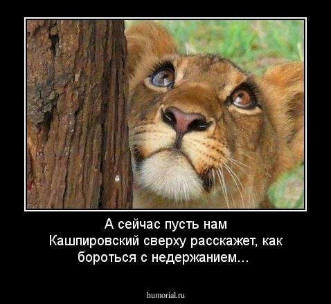 А сейчас пусть нам Кашпировский сверху расскажет, как бороться с недержанием...