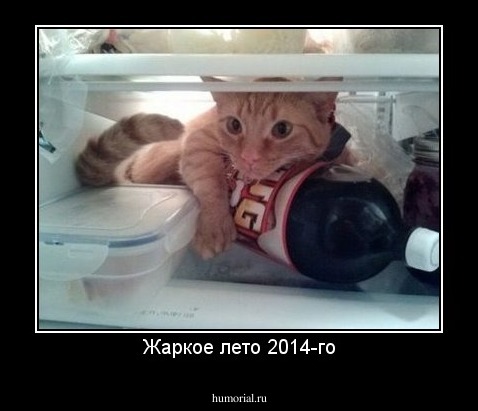 Жаркое лето 2014-го