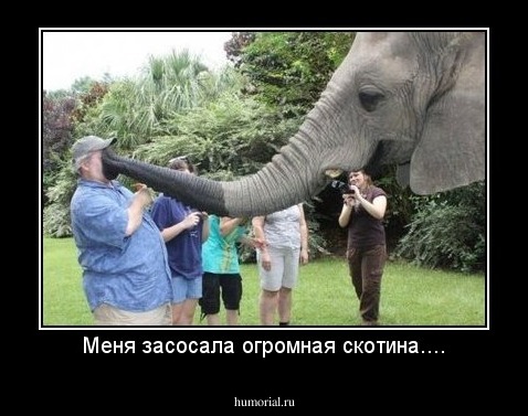 Меня засосала огромная скотина....