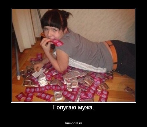 Попугаю мужа.