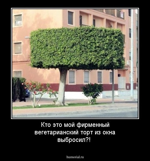 Кто это мой фирменный вегетарианский торт из окна выбросил?!