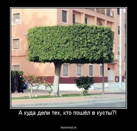 А куда дели тех, кто пошёл в кусты?! 