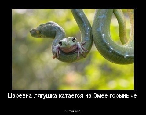 Царевна-лягушка катается на Змее-горыныче