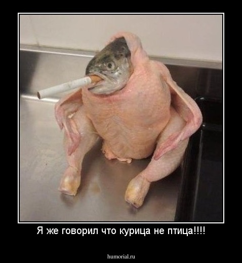 Я же говорил что курица не птица!!!!