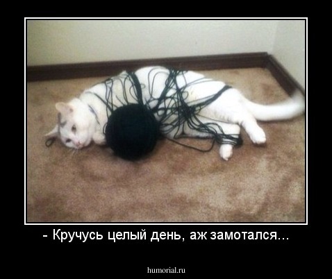 - Кручусь целый день, аж замотался...