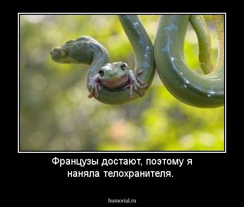 Французы достают, поэтому я наняла телохранителя.