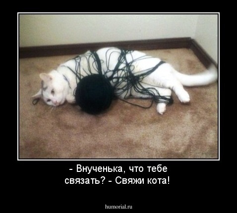 - Внученька, что тебе связать?
- Свяжи кота!