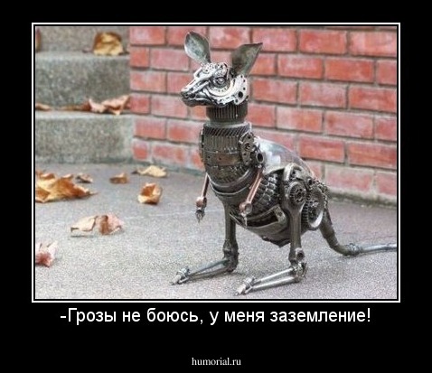 -Грозы не боюсь, у меня заземление!