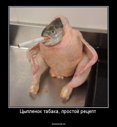 Цыпленок табака, простой рецепт 