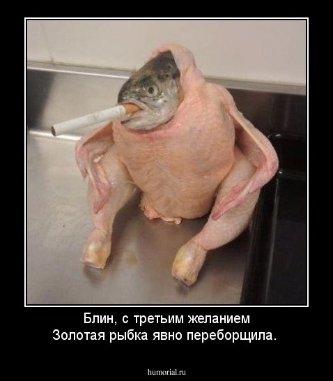 Блин, с третьим желанием Золотая рыбка явно переборщила.