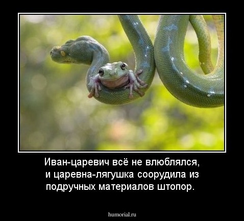Иван-царевич всё не влюблялся, и царевна-лягушка соорудила из подручных материалов штопор. 