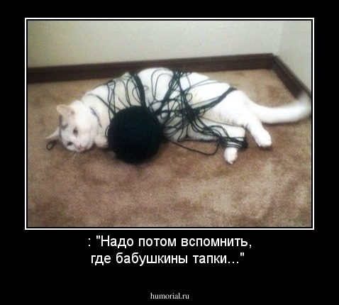 : "Надо потом вспомнить, где бабушкины тапки..."