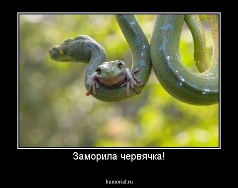 Заморила червячка!