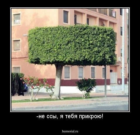 -не ссы, я тебя прикрою!
