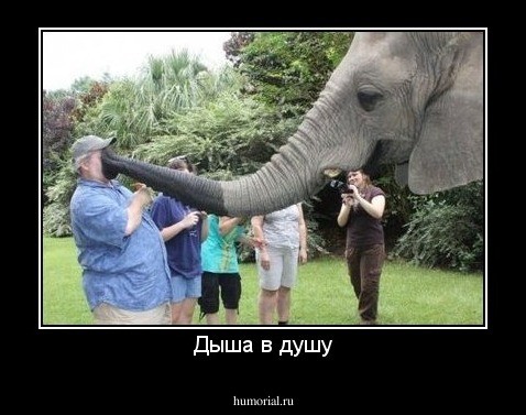 Дыша в душу