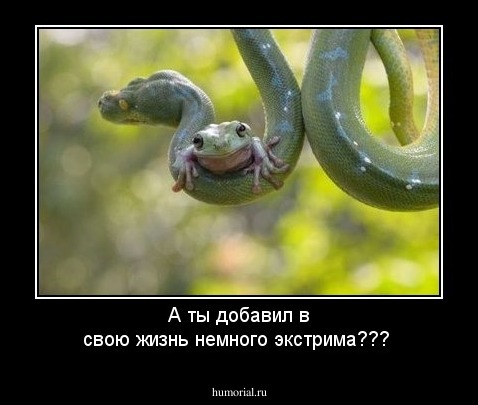 А ты добавил в свою жизнь немного экстрима???