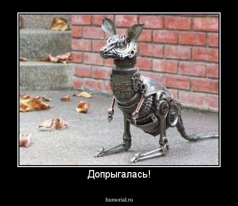 Допрыгалась!