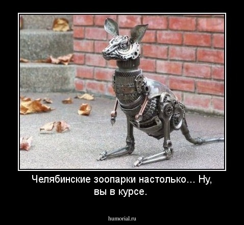 Челябинские зоопарки настолько... Ну, вы в курсе.