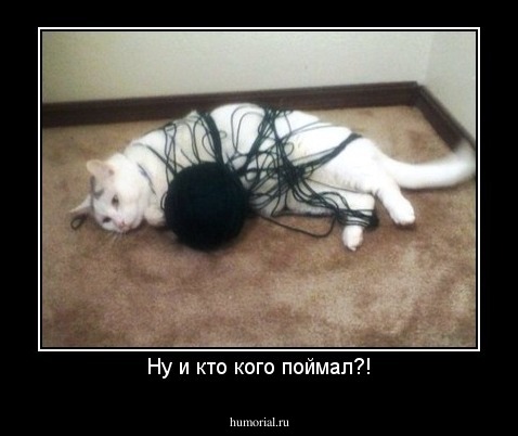 Ну и кто кого поймал?!