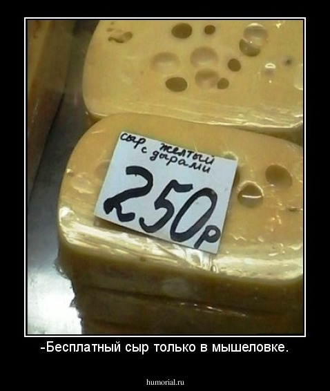 -Бесплатный сыр только в мышеловке.