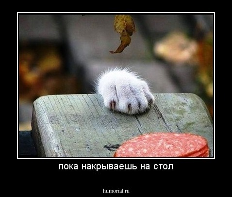 пока накрываешь на стол