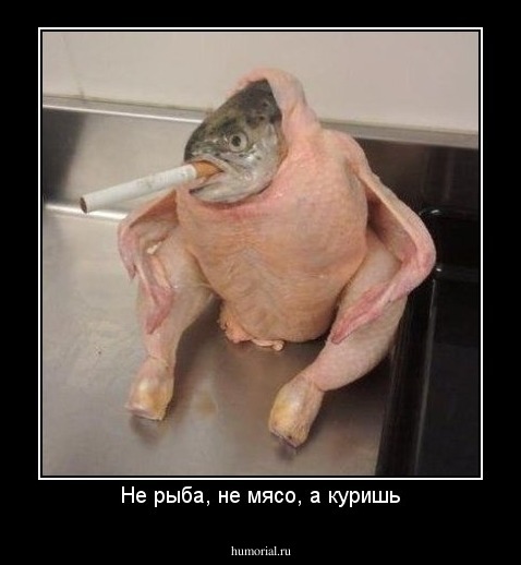 Не рыба, не мясо, а куришь