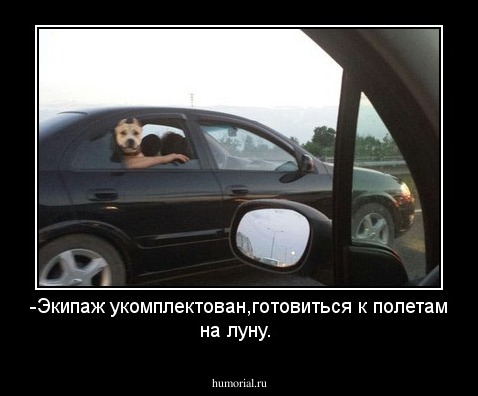 -Экипаж укомплектован,готовиться к полетам на луну.