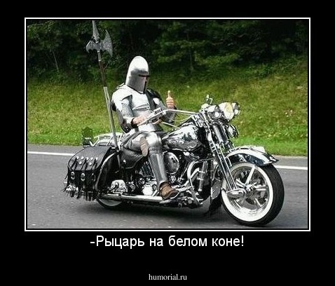 -Рыцарь на белом коне!