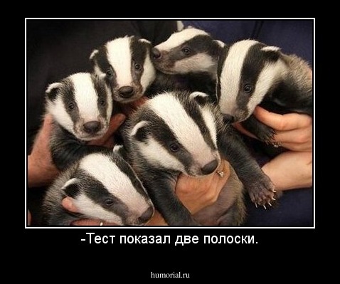 -Тест показал две полоски.