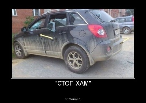 "СТОП-ХАМ"