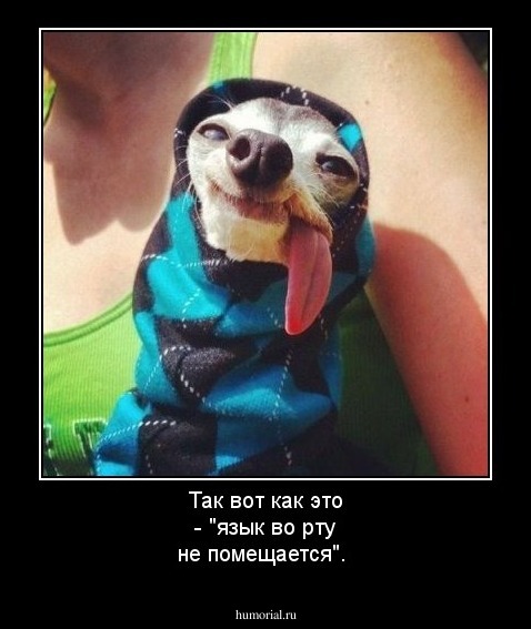 Так вот как это - "язык во рту не помещается".