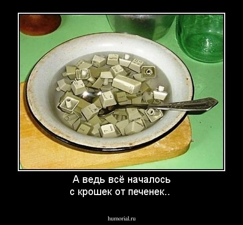 А ведь всё началось с крошек от печенек..