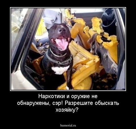 Наркотики и оружие не обнаружены, сэр! Разрешите обыскать хозяйку?