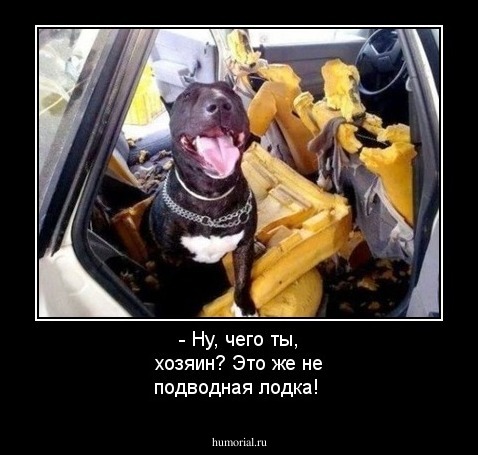 - Ну, чего ты, хозяин? Это же не подводная лодка!