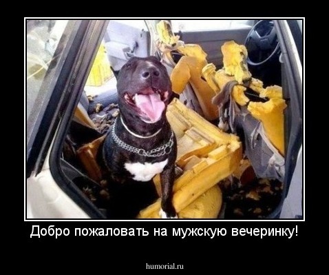 Добро пожаловать на мужскую вечеринку!