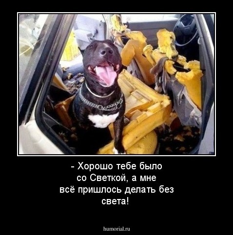 - Хорошо тебе было со Светкой, а мне всё пришлось делать без света!