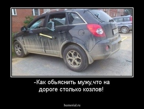 -Как обьяснить мужу,что на дороге столько козлов!