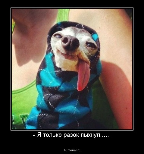 - Я только разок пыхнул......