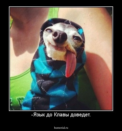 -Язык до Клавы доведет.