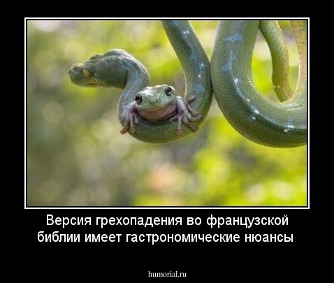 Версия грехопадения во французской библии имеет гастрономические нюансы