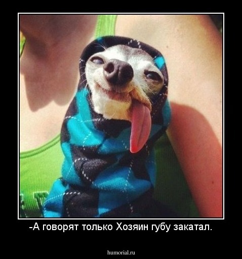 -А говорят только Хозяин губу закатал.