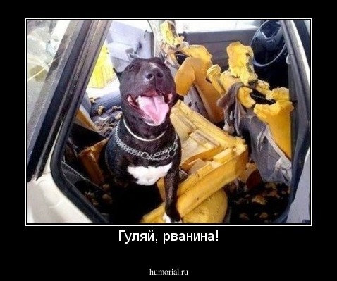 Гуляй, рванина!