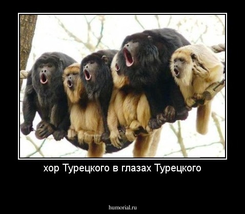 хор Турецкого в глазах Турецкого
